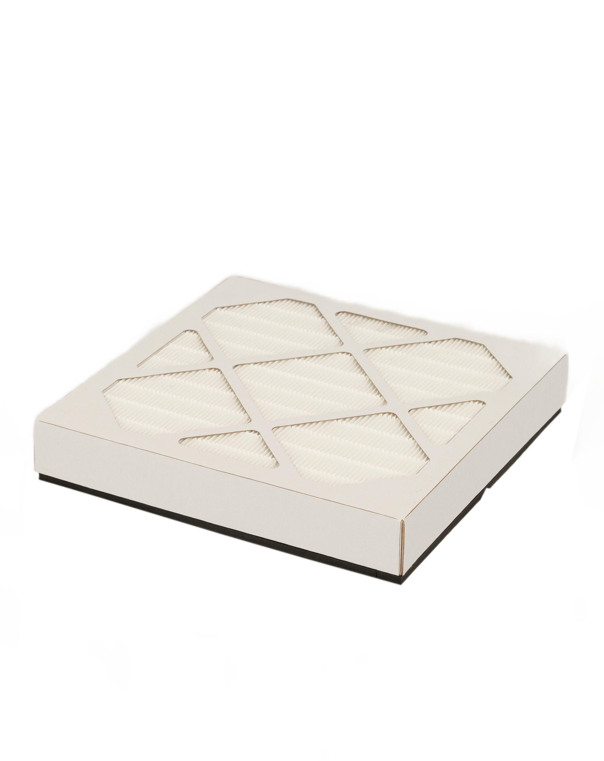 Replacement Filter FA100-2 | Fits Model FA1-Mini