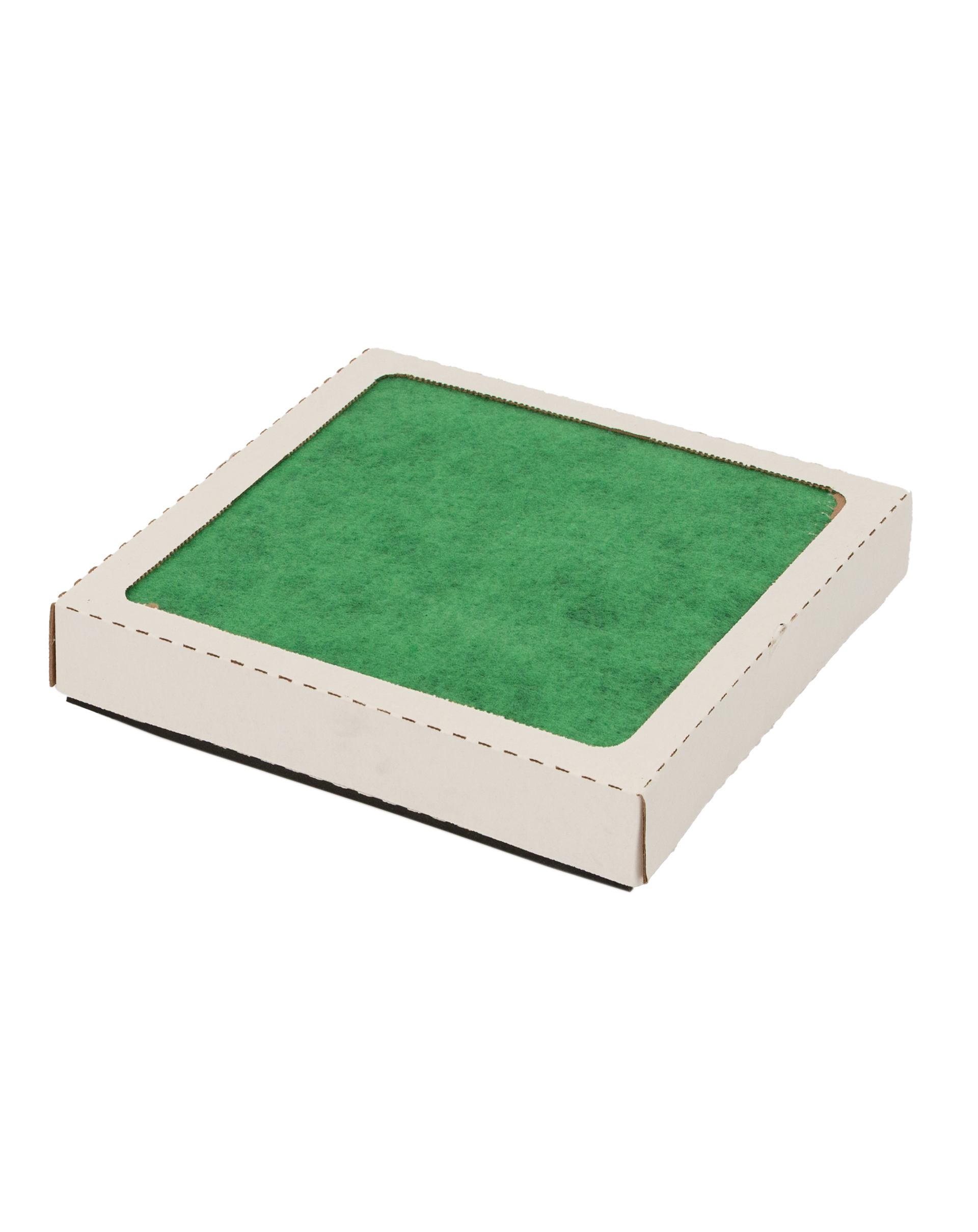 Replacement Filter FA101D | Fits Model FA1-Mini